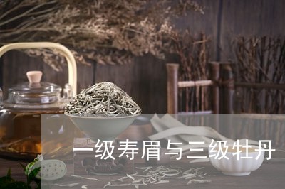 一级寿眉与三级牡丹/2023120433059