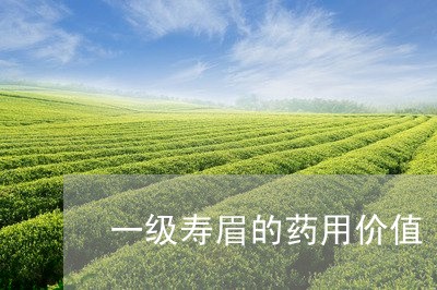 一级寿眉的药用价值/2023120436037