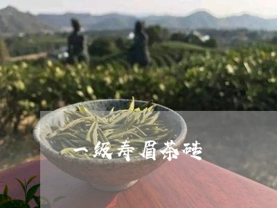 一级寿眉茶砖/2023051325938