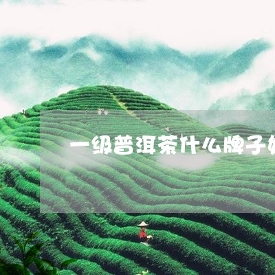 一级普洱茶什么牌子好/2023092875248