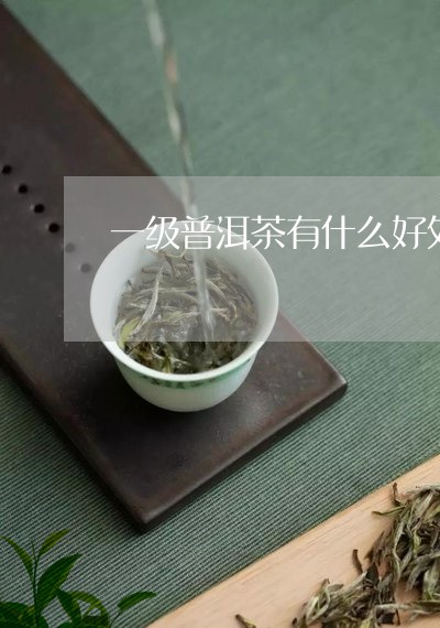 一级普洱茶有什么好处/2023072282713