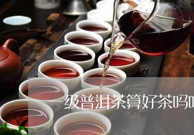 一级普洱茶算好茶吗吗/2023062828158