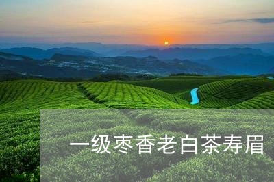 一级枣香老白茶寿眉/2023120451626