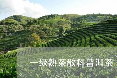 一级熟茶散料普洱茶/2023120528150