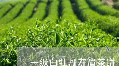 一级白牡丹寿眉茶饼/2023120526068