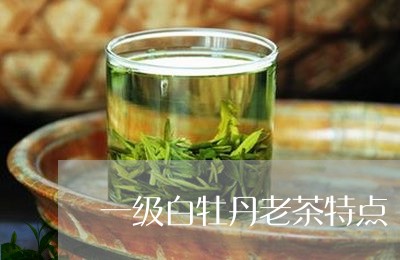 一级白牡丹老茶特点/2023091330503