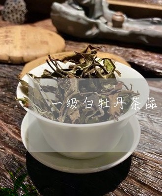 一级白牡丹茶品鉴装/2023120561503