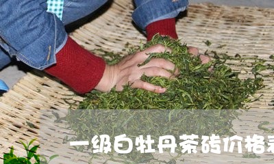 一级白牡丹茶砖价格表/2023120989793