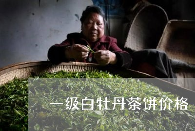 一级白牡丹茶饼价格/2023091362714