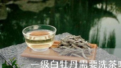 一级白牡丹需要洗茶吗/2023120954263