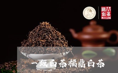 一级白茶福鼎白茶/2023111666257