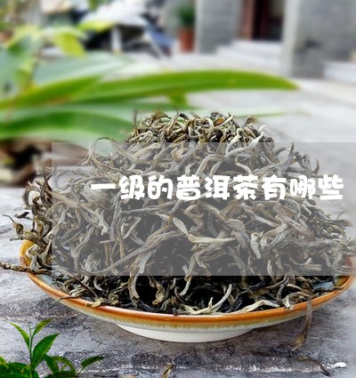 一级的普洱茶有哪些/2023120568250