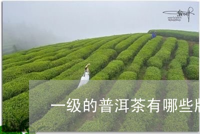 一级的普洱茶有哪些牌子/2023112886237