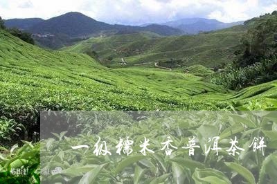 一级糯米香普洱茶饼/2023112748250