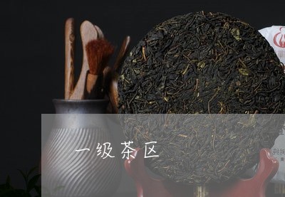 一级茶区/2023090102705