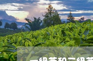 一级茶和二级茶的区别/2023060993715