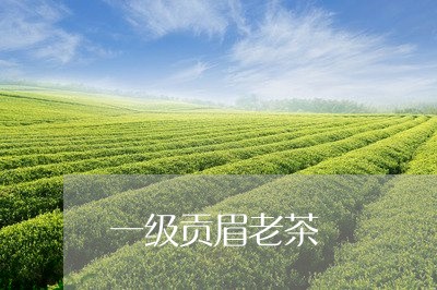 一级贡眉老茶/2023051276130