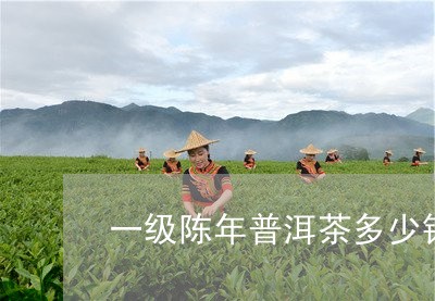 一级陈年普洱茶多少钱/2023061592028