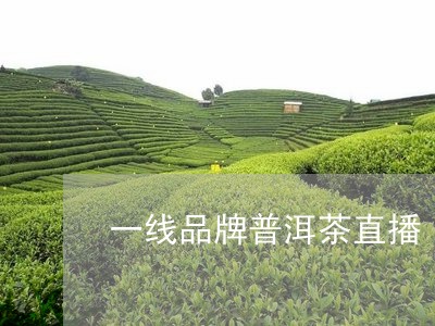 一线品牌普洱茶直播/2023120568159