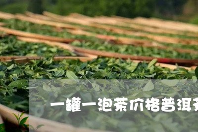 一罐一泡茶价格普洱茶/2023092610793