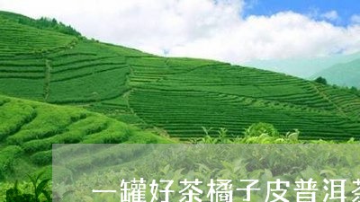 一罐好茶橘子皮普洱茶/2023092724847