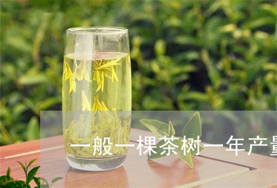 一般一棵茶树一年产量/2023071649584