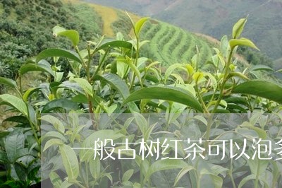 一般古树红茶可以泡多少道/2023051147473
