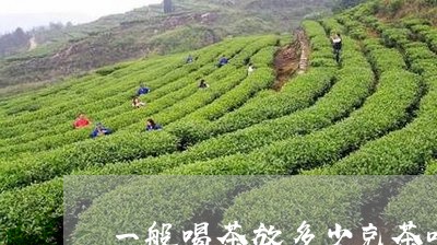 一般喝茶放多少克茶叶/2023061108571