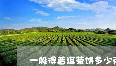 一般得普洱茶饼多少克/2023092627693