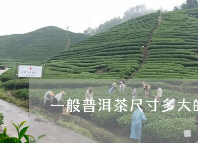 一般普洱茶尺寸多大的好/2023081771826