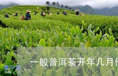 一般普洱茶开年几月份出新茶/2023052844381