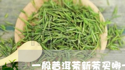 一般普洱茶新茶买哪一款最好/2023110256028