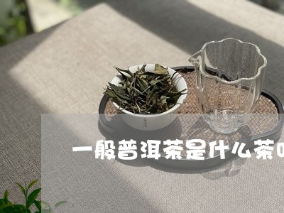 一般普洱茶是什么茶叶/2023092886041