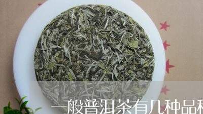 一般普洱茶有几种品种/2023072352816