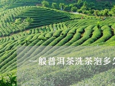 一般普洱茶洗茶泡多久/2023120747150