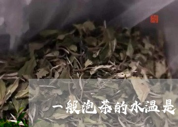 一般泡茶的水温是多少/2023092049794