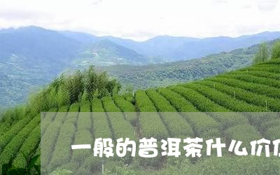 一般的普洱茶什么价位/2023092798290