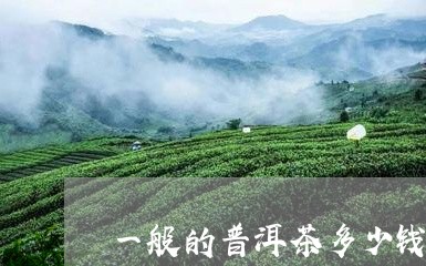 一般的普洱茶多少钱一斤价格/2023052894949