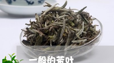 一般的茶叶/2023041747312