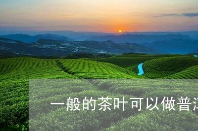 一般的茶叶可以做普洱茶吗/2023051044869