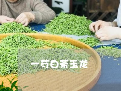 一芍白茶玉龙/2023051298592