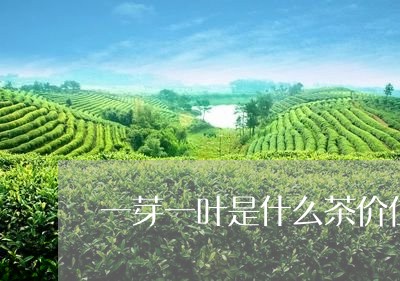 一芽一叶是什么茶价位/2023071307294