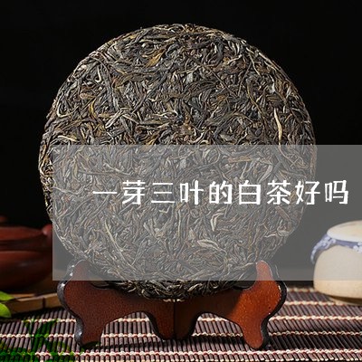 一芽三叶的白茶好吗/2023071426168