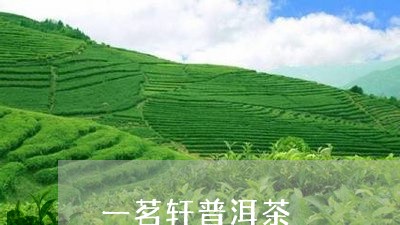 一茗轩普洱茶/2023042581329