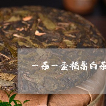 一茶一壶福鼎白茶/2023090980682