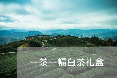 一茶一幅白茶礼盒/2023061594928