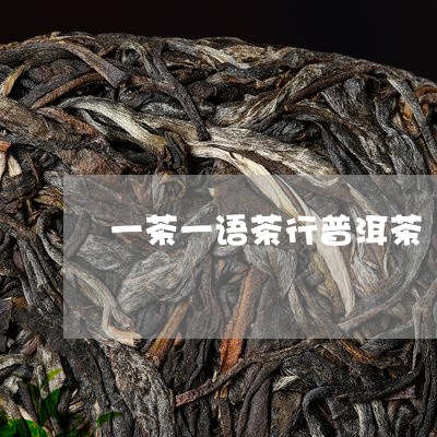 一茶一语茶行普洱茶/2023120593716