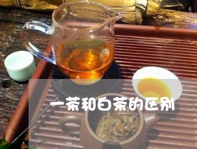 一茶和白茶的区别/2023073084860