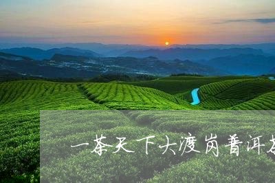 一茶天下大渡岗普洱茶/2023100575737