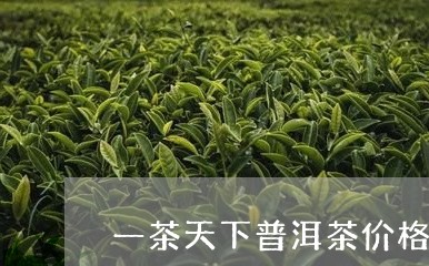 一茶天下普洱茶价格/2023070959513